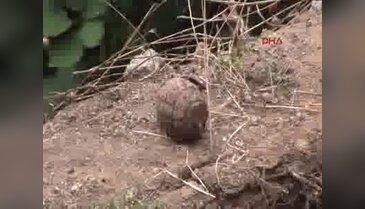 Bursa'da inşaatta el bombası bulundu