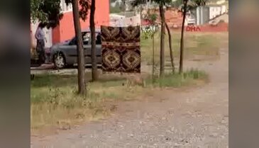Tilkiye her akşam yiyecek veriyor