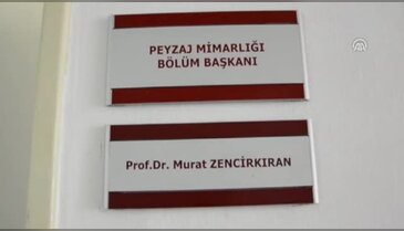 "Kaktüs odayı radyasyondan arındırmaz"