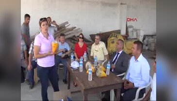 Narenciye bahçelerine sinek tuzakları