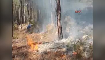 Alanya'da orman yangını