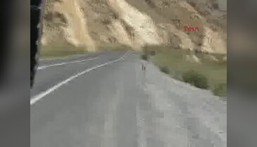 Hakkari Valiliği'den imha edilen patlayıcılarla ilgili açıklama