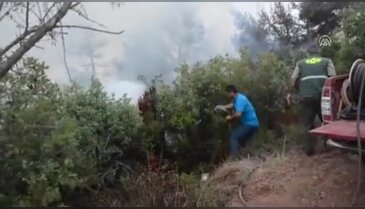 Bursa Mudanya'da orman yangını
