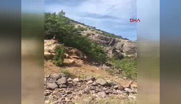 Artvin'de çatışmanın yeni görüntüleri ortaya çıktı