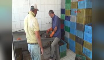 Eğirdir kerevitinde pazar sıkıntısı