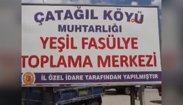 Fasulye üreticisi düşük fiyattan şikayetçi