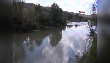 Kızılırmak'ta balık ölümleri