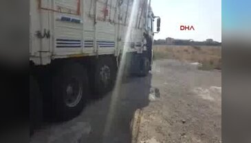 Saman yüklü kamyonda esrar sevkiyatına üç tutuklama