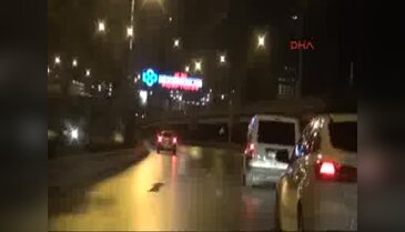 İzmir'deki FETÖ operasyonunda 11 gözaltı