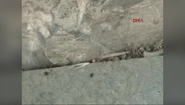 Güvenlik uzmanı Mete Yarar'a silahlı saldırı