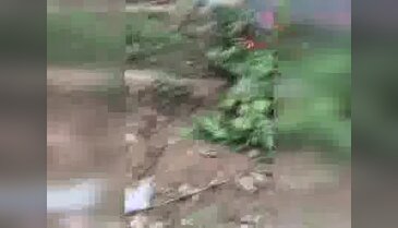 Diyarbakır'da Hevsel Bahçelerine uyuşturucu operasyonu - 2