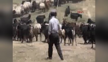 Aynı köyde 20 yıldır çobanlık yapıyor