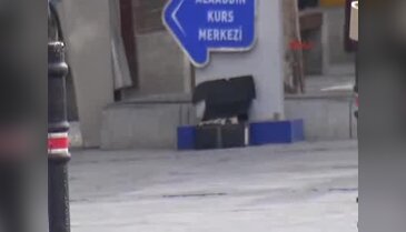 Kutunun içindeki oyuncak dinamit lokumları, polisi alarma geçirdi