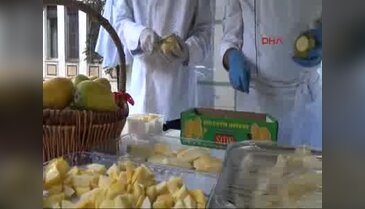Pakistan'ın Ankara Büyükelçiliği'nde mango festivali