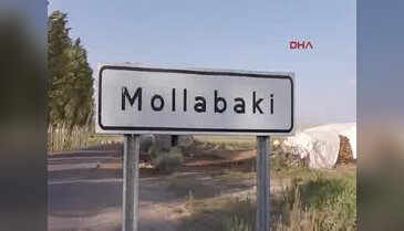 1,5 tonluk boğayı alana otomobil bedava