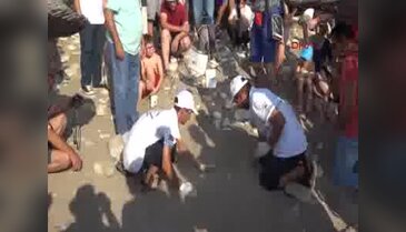 Caretta carettaların denize yolculuğu sürüyor