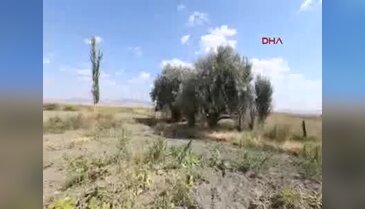 4'üncü Ana Jet Üssü yakınlarında içi dolar dolu çanta bulundu - 2