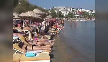 Bodrum sahillerinde eylül bereketi - 1