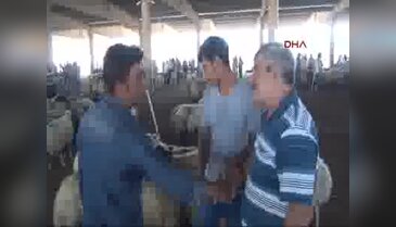 Şanlıurfa'da hayvan pazarlarında hareketlilik arttı