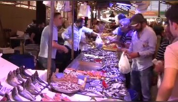 Bursalı balıkçılar "Vira bismillah" dedi