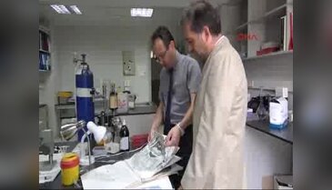 Bursa Uludağ Üniversitesi depresyonu yenen molekül buldu