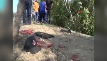 Bomba arama köpeğini taşıyan askeri araç kaza yaptı: 1 yaralı