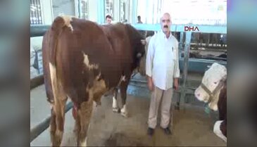 Denizli'nin paşası alıcı bekliyor