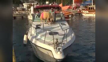 Bodrum'da yaşayan türkücüden kurbanlıklarla ilginç şov