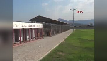 Sokak hayvanları için belediye önünde açlık grevi yapıyorlar - 2