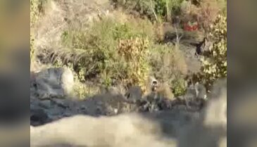 Silopi'de PKK'nın 10 ton bomba yüklü kamyonu imha edildi