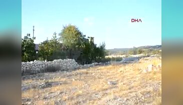 Bozyazı'da milyonlarca yıllık deniz yıldızı