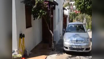 Bodrum'da tüyler ürperten cinayet
