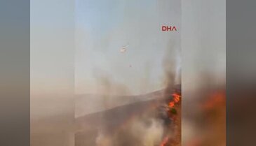 Balıkesir Paşalimanı Adası'ndaki yangın yerleşim bölgelerine doğru ilerliyor