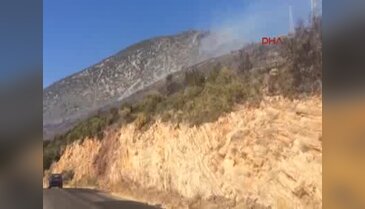 Karaburun'da piknikçi ateşi ormanı yaktı - 3