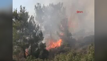 Karaburun'da piknikçi ateşi ormanı yaktı - 2