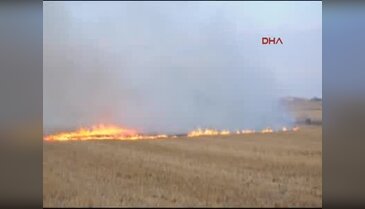 Malkara'da 800 dönüm anız ile 20 ağaç yandı