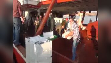 Tekneler, 1 saat içerisinde balık dolu döndü