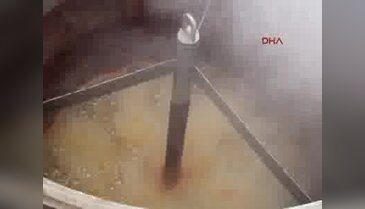 Lisinia'da kanser hastaları için karpuz konsantresi üretiliyor