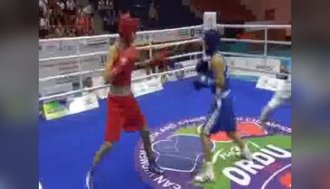 Yıldız ve Genç Bayanlar Avrupa Boks Şampiyonası Ordu'da başladı