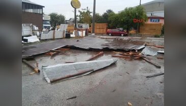 Isparta'da şiddetli rüzgar ağaçları devirdi
