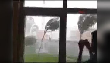 Karabük'te fırtına çatıları uçurdu, ağaçları devirdi