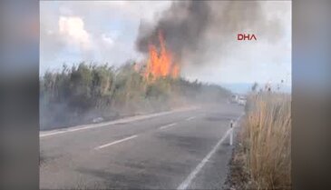 Sazlık yangını sürücülere zor anlar yaşattı
