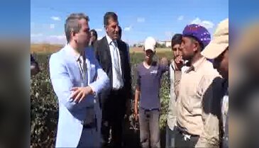 Tarım işçisi çocuklara okul ve öğretmen desteği sağlanacak