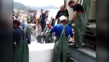 Bartın'da palamut bolluğu