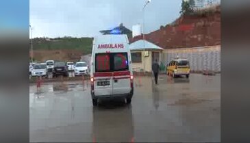 Ormanda ceviz toplarken ayı saldırdı