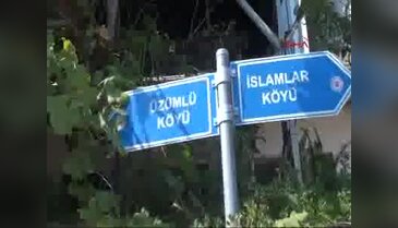 Turistlere üzüm bağı turu