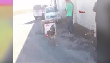 Kompresörlerin içinden esrar çıktı