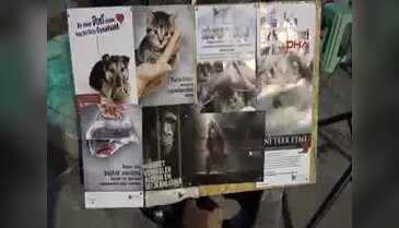 Marmaris'te çocuklardan "Doğa ve Hayvan" koruma etkinliği
