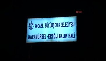 Marmara'da palamut ve hamsi bolluğu