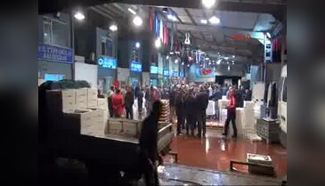 İki üniversite mezunu Gülşah balık halinde kabzımallık yapıyor